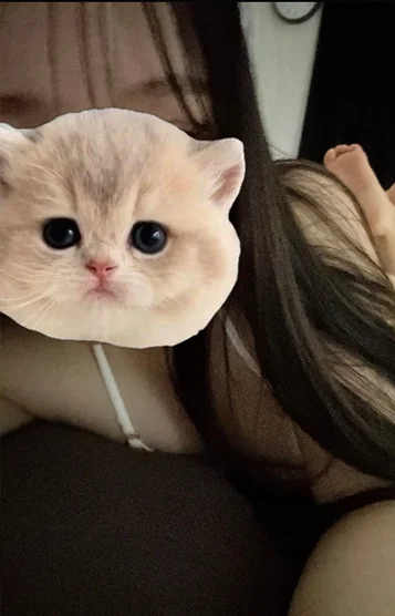 さくら