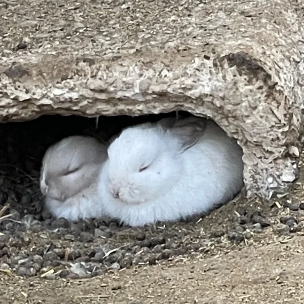 ありがとうございました♥️