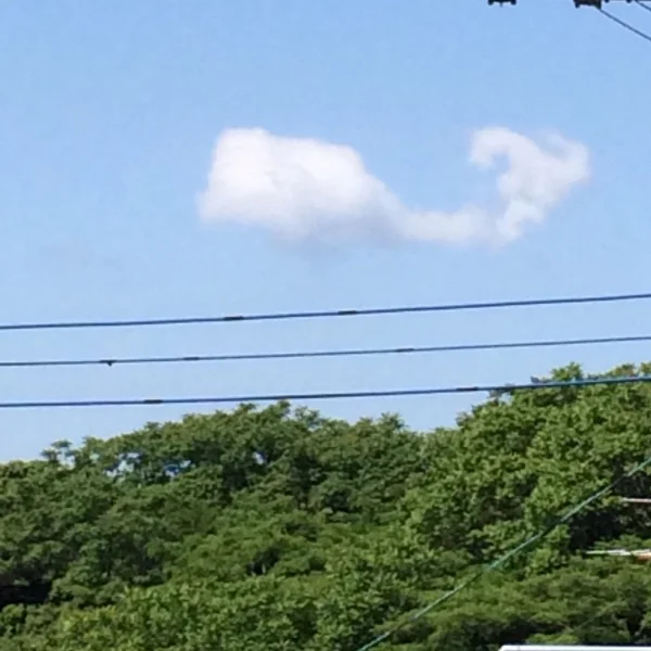みみの独り言🍀