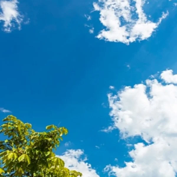 M様😊ありがとうございました♥️