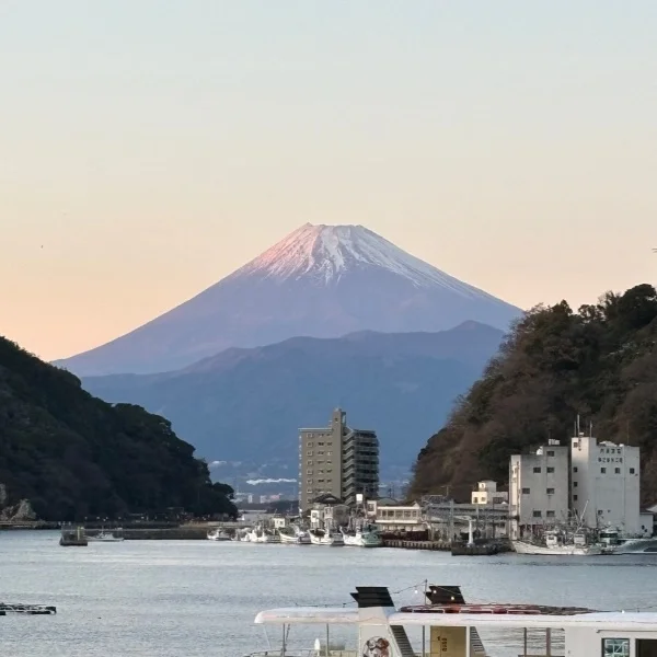 び・びっくりです😵💦