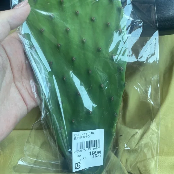こんにちは🦩