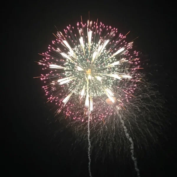 🎆