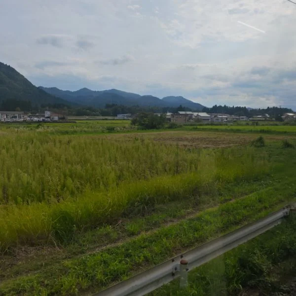 電車からの長閑な景色