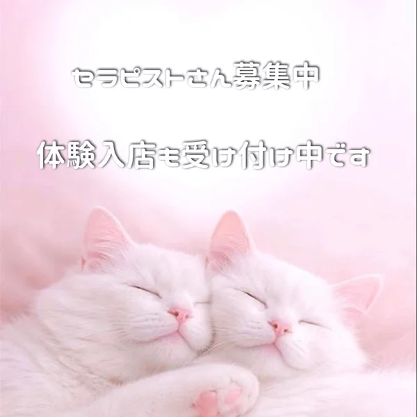 体験入店受付中です☺️✨