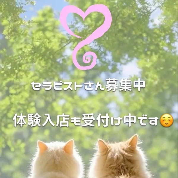 体験入店受付中です🙆‍♀️💕
