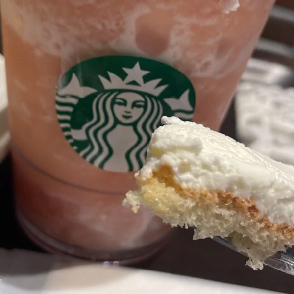 今日はスタバさんでぬくぬくしますっ💞