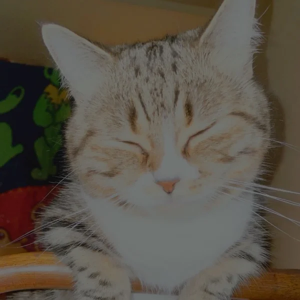 今日は、お休み(-_-)zzz