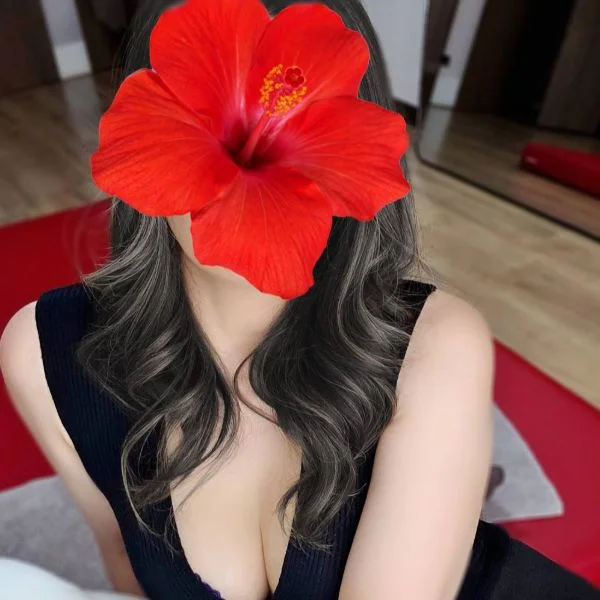 今日も