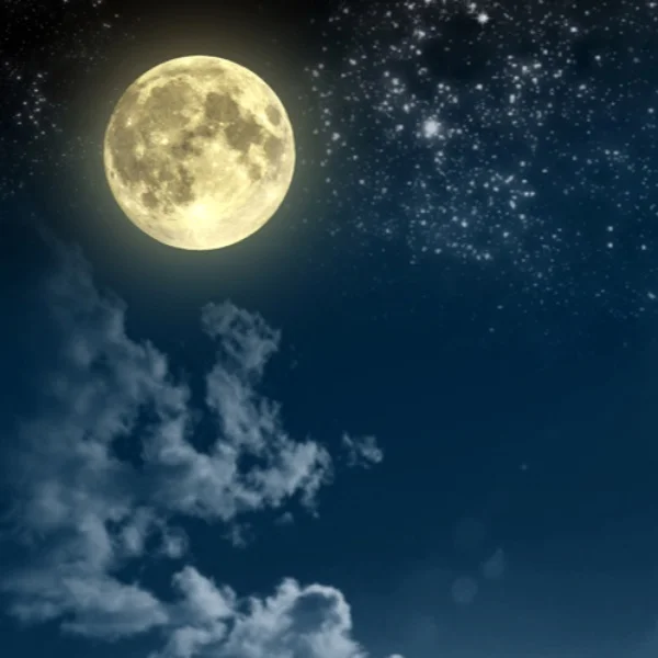 まなです🌙