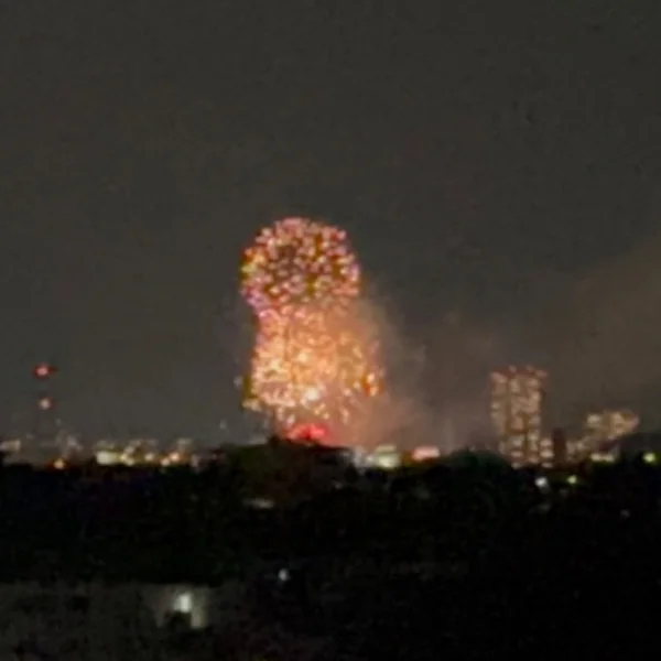 岡崎花火🎆🎇