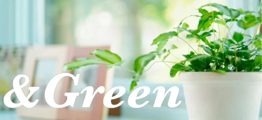 ＆Green