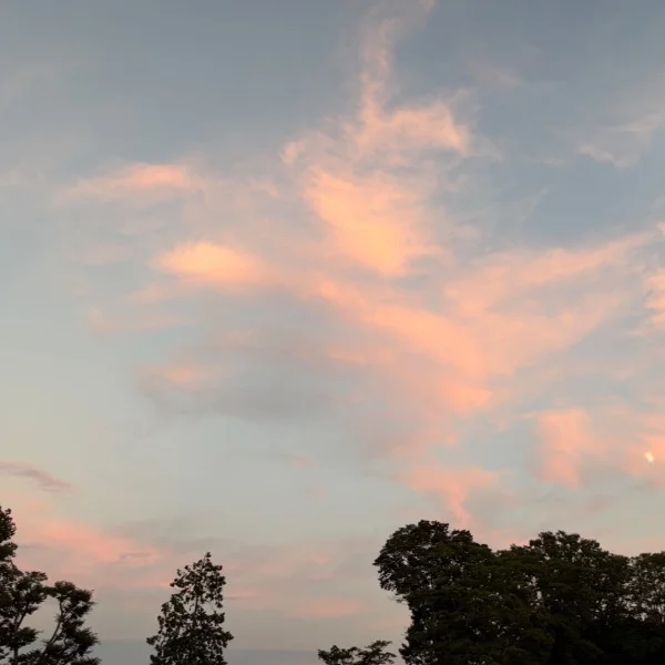☁️⸝⸝꙳