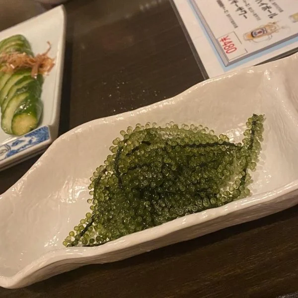 沖縄行きたいな～