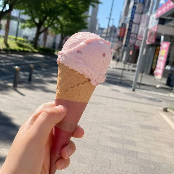 帰りのアイス最高だったね🍦♥️