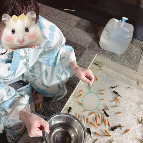 7月🌟