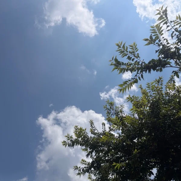 12時より出勤します…！