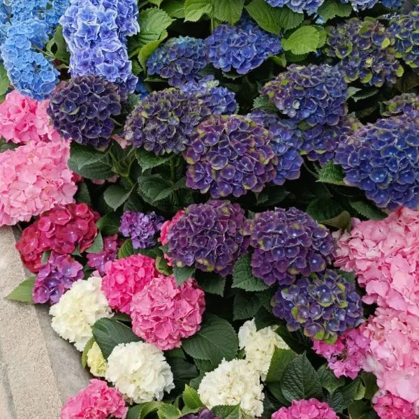 お礼です。
