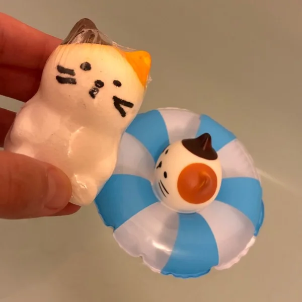 🐱