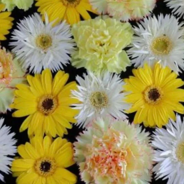 こんにちは💐