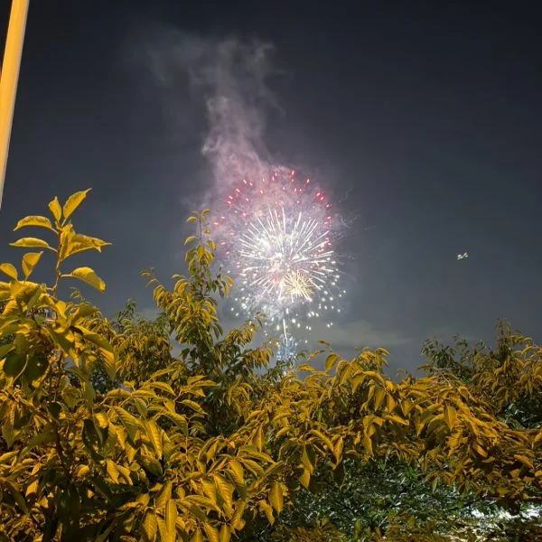 夏といえば🍉🎆