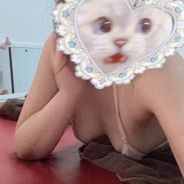 こんばんは🧸⋆꙳