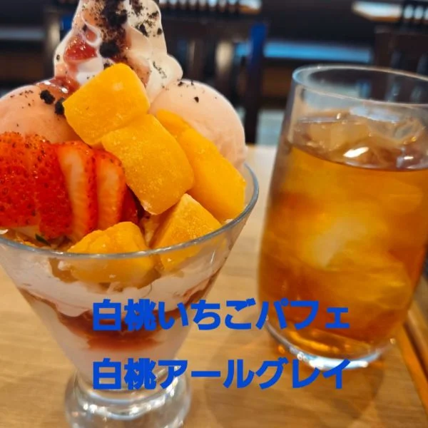 出勤しました。高槻ルームです