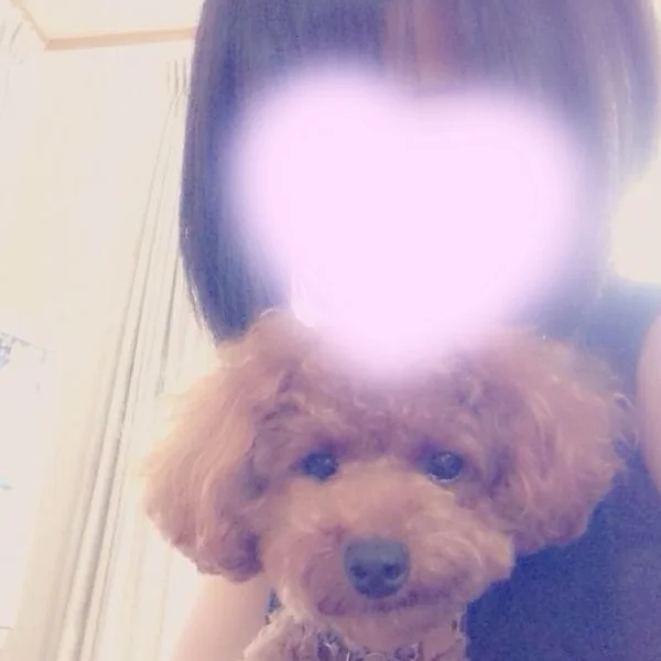出勤しました