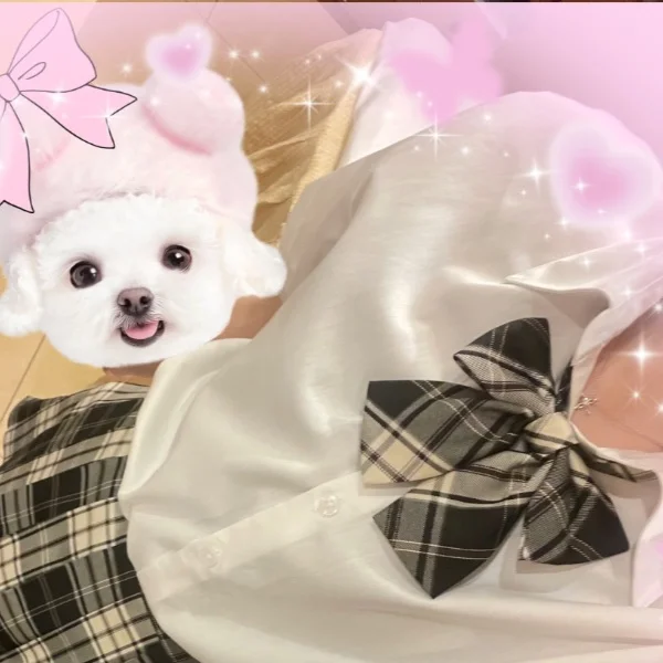 楽しい時間をありがとう🤍ྀི🫧