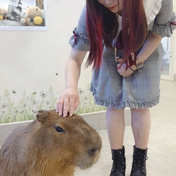 今日も🫶🏻◝✩