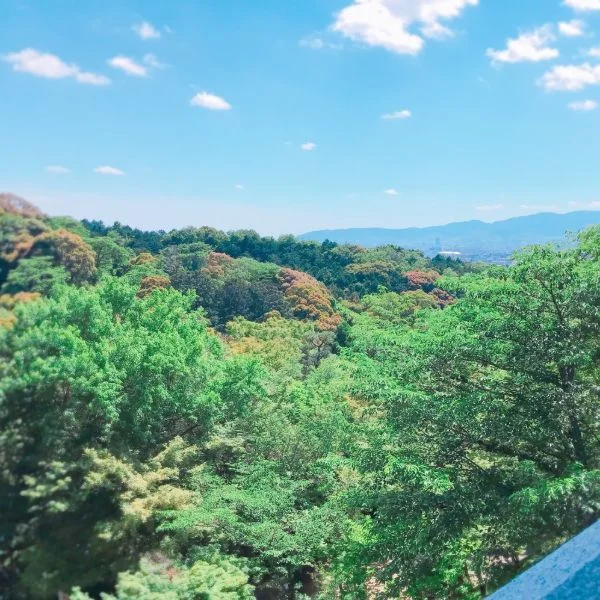 夏が始まりますねー☀