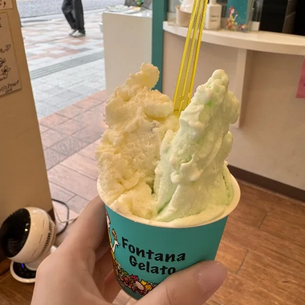 お試し投稿🎶